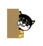 SHIBA KONBU（個別スタンプ：37）