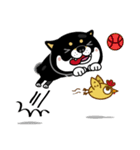 SHIBA KONBU（個別スタンプ：39）