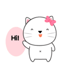 Little White Cat sticker(eng)（個別スタンプ：1）