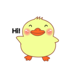 Little Duck sticker (eng)（個別スタンプ：1）