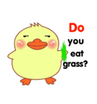 Little Duck sticker (eng)（個別スタンプ：8）