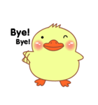 Little Duck sticker (eng)（個別スタンプ：40）