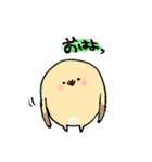 うさぎの代弁（個別スタンプ：1）