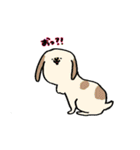 うさぎの代弁（個別スタンプ：31）