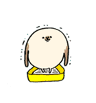 うさぎの代弁（個別スタンプ：37）