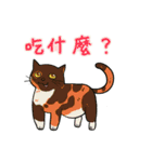 North Street Cats（個別スタンプ：19）