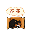 North Street Cats（個別スタンプ：31）