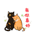 North Street Cats（個別スタンプ：37）