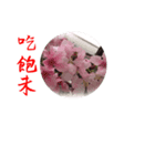 beautiful pictures:Taiwanese 1（個別スタンプ：1）