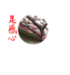 beautiful pictures:Taiwanese 1（個別スタンプ：4）