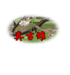 beautiful pictures:Taiwanese 1（個別スタンプ：8）