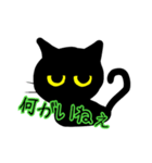 南加賀弁黒猫さん（個別スタンプ：6）