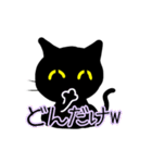 南加賀弁黒猫さん（個別スタンプ：11）