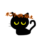 南加賀弁黒猫さん（個別スタンプ：21）