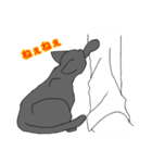 白井んちのクロ猫（個別スタンプ：6）