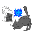 白井んちのクロ猫（個別スタンプ：14）