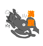 白井んちのクロ猫（個別スタンプ：17）