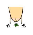 ShanYaoDan Bro！（個別スタンプ：2）