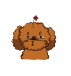 I'M MONEY（個別スタンプ：5）