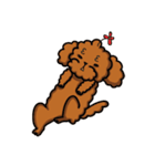 I'M MONEY（個別スタンプ：24）