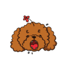 I'M MONEY（個別スタンプ：37）