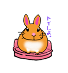 うさぎの「ちゃむ」（個別スタンプ：1）