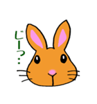 うさぎの「ちゃむ」（個別スタンプ：4）