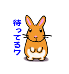 うさぎの「ちゃむ」（個別スタンプ：7）