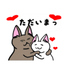 表現豊かなシロにゃんこ②（個別スタンプ：3）