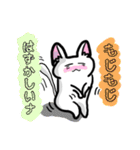 表現豊かなシロにゃんこ②（個別スタンプ：7）