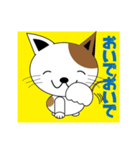 かわいい仔猫の可愛い日常会話（個別スタンプ：5）