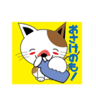 かわいい仔猫の可愛い日常会話（個別スタンプ：16）