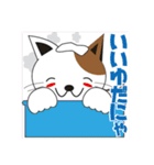 かわいい仔猫の可愛い日常会話（個別スタンプ：17）