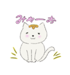 変身！！～猫バージョン～（個別スタンプ：3）