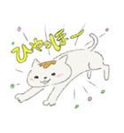 変身！！～猫バージョン～（個別スタンプ：5）