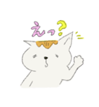 変身！！～猫バージョン～（個別スタンプ：6）