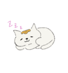 変身！！～猫バージョン～（個別スタンプ：8）