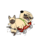 Mao Whatta Pug 3（個別スタンプ：1）