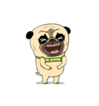 Mao Whatta Pug 3（個別スタンプ：20）