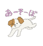 変身！！～犬バージョン～（個別スタンプ：5）