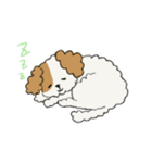 変身！！～犬バージョン～（個別スタンプ：8）
