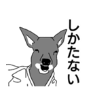 "獣"道家すたんぷ～動物達がゆるく柔道～（個別スタンプ：13）