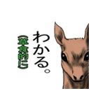 ゆるい自由過ぎる動物達（個別スタンプ：10）