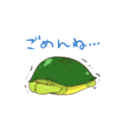 かめすけと仲間たち（個別スタンプ：5）