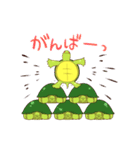 かめすけと仲間たち（個別スタンプ：9）