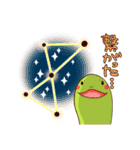 かめすけと仲間たち（個別スタンプ：13）