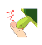 かめすけと仲間たち（個別スタンプ：26）