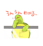 かめすけと仲間たち（個別スタンプ：31）