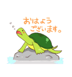 かめすけと仲間たち（個別スタンプ：35）