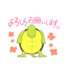 かめすけと仲間たち（個別スタンプ：37）